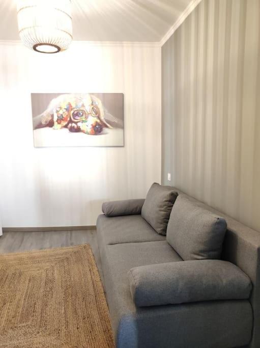 Cocon De Charline - Charme Et Elegance Dans Le Centre Apartment Montauban Luaran gambar